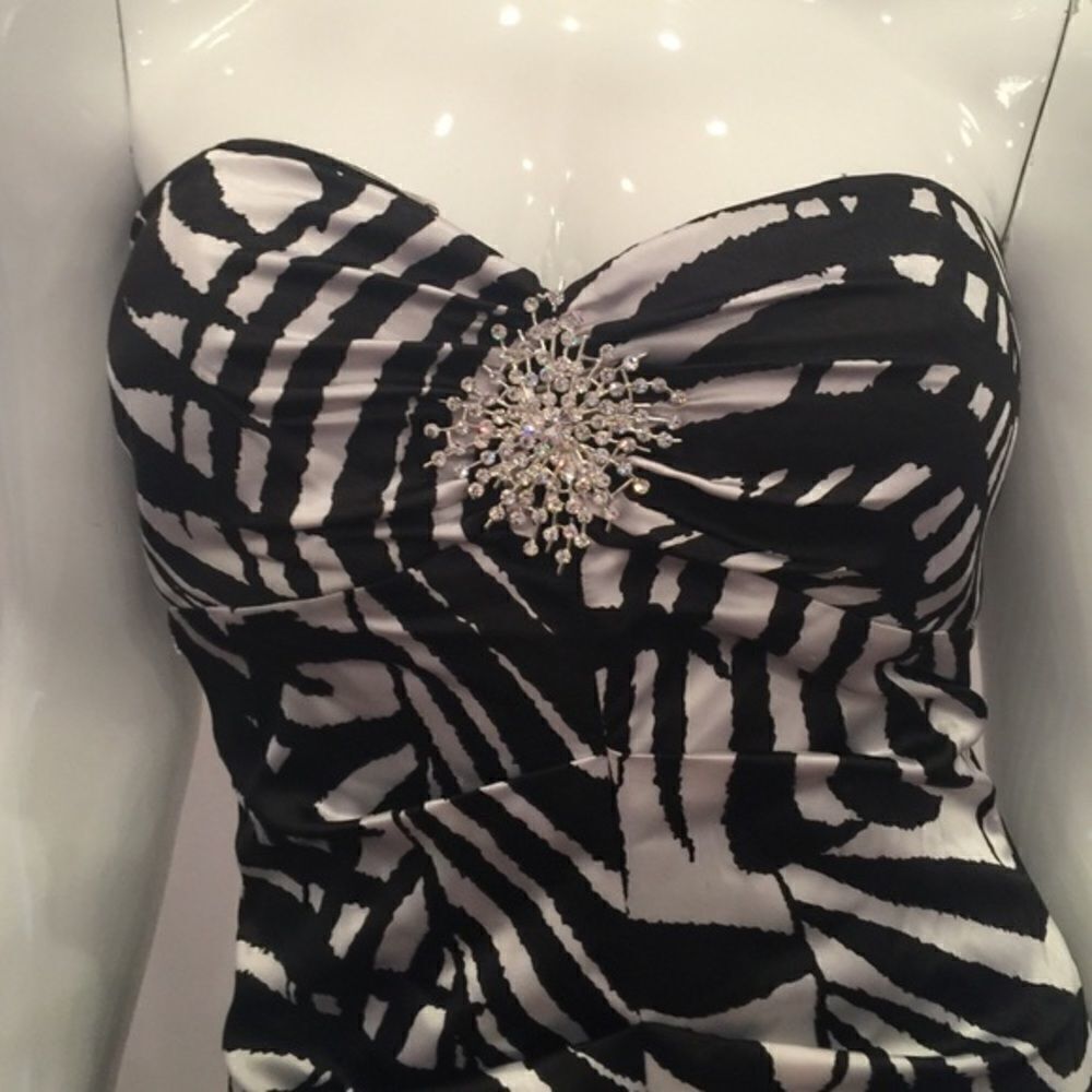 🎉Final Deal🎉Cache Long Dress✨ - Picture 2 of 3